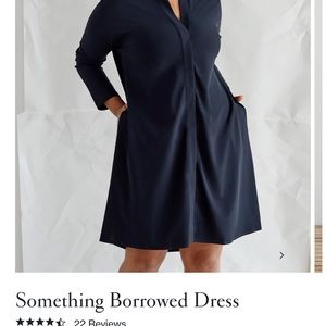 This Is Aday Something Borrowed Dress
